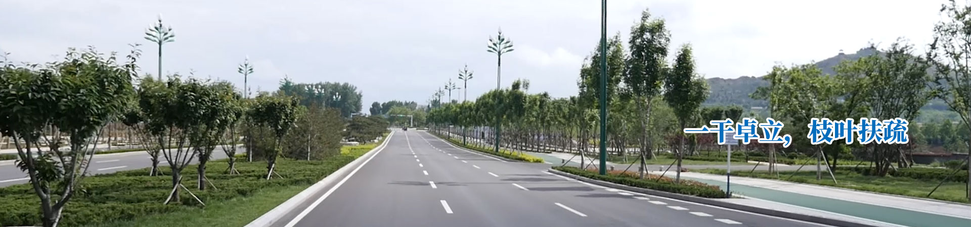 海能聯(lián)系方式